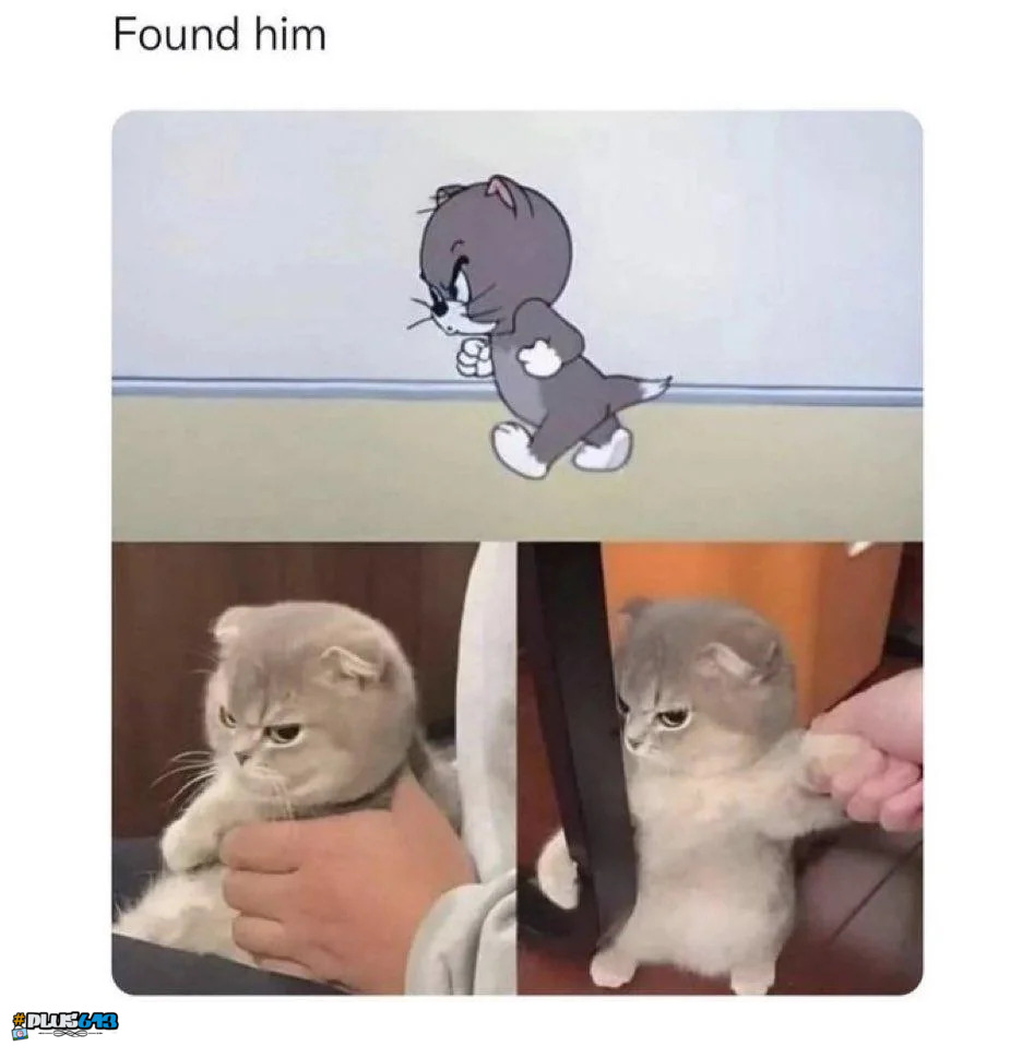 Cartoons in real life