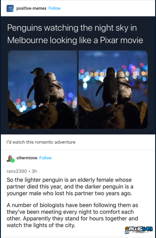 Positive penguins
