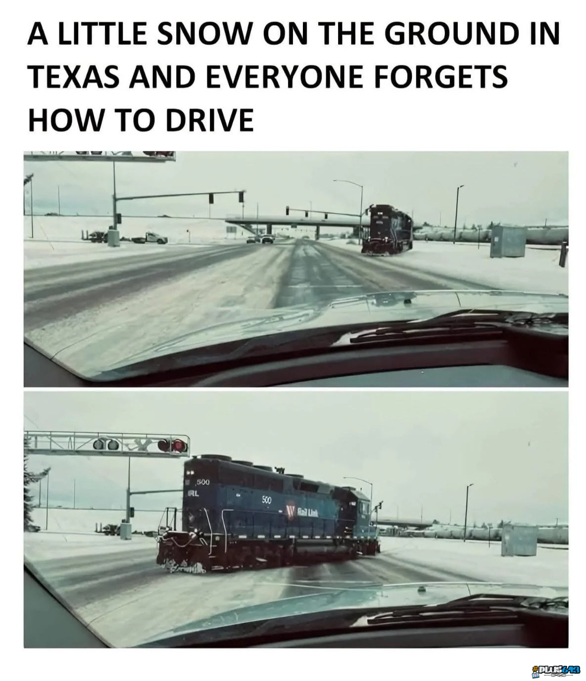 Are they stupid?