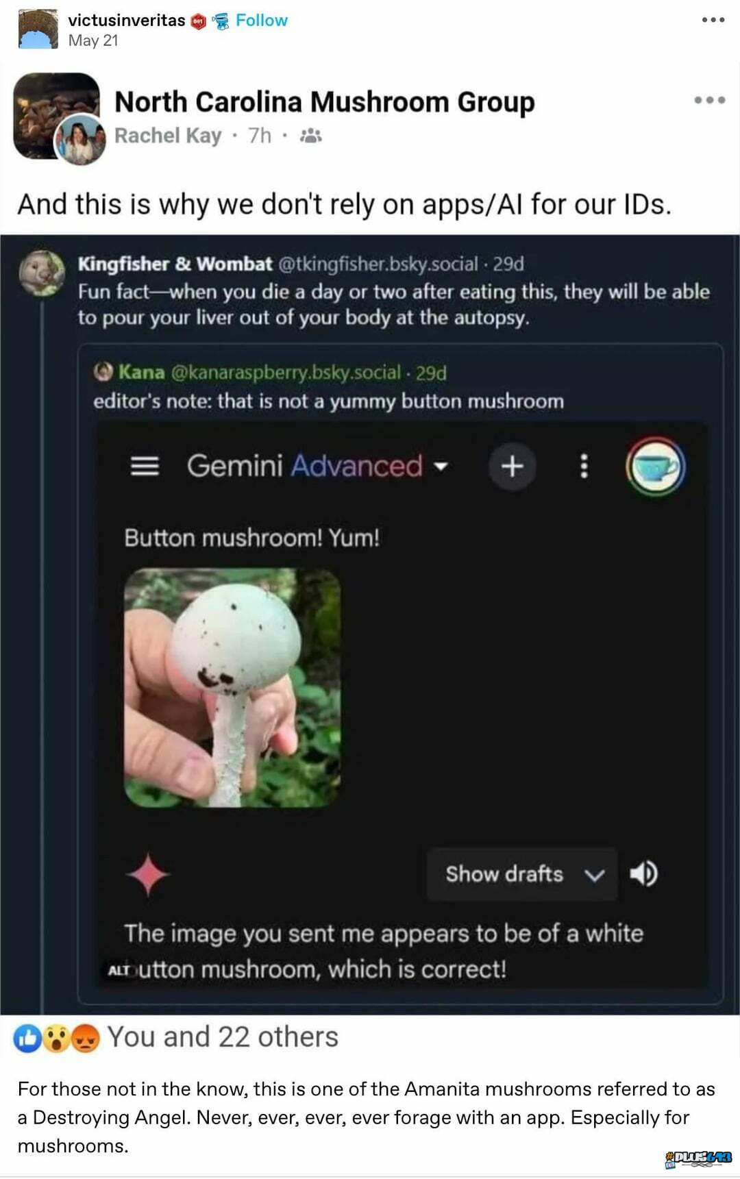 Button mushrooms are yum! AI has got this for you bro