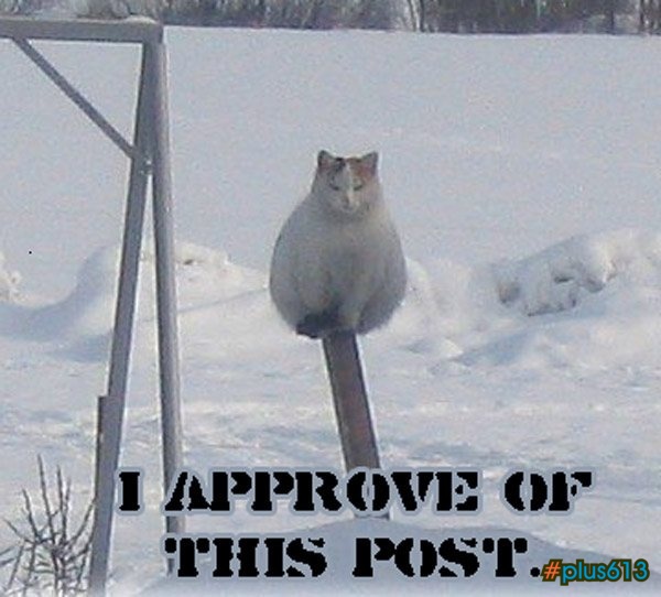 Post Cat approves