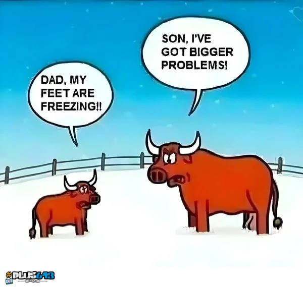 freezy