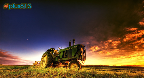 Farming at dusk