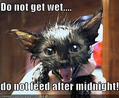 Do not get wet - do not feed after midnight