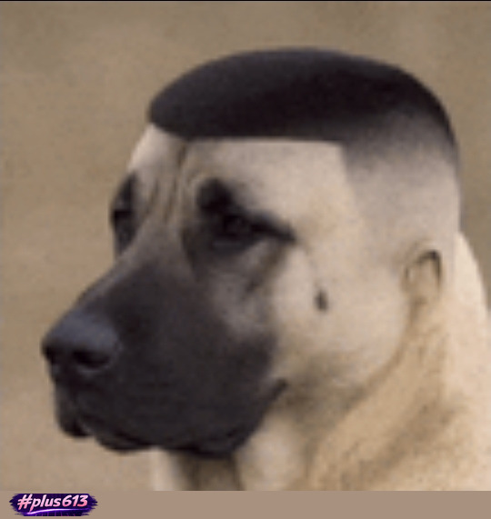 Skin fade!