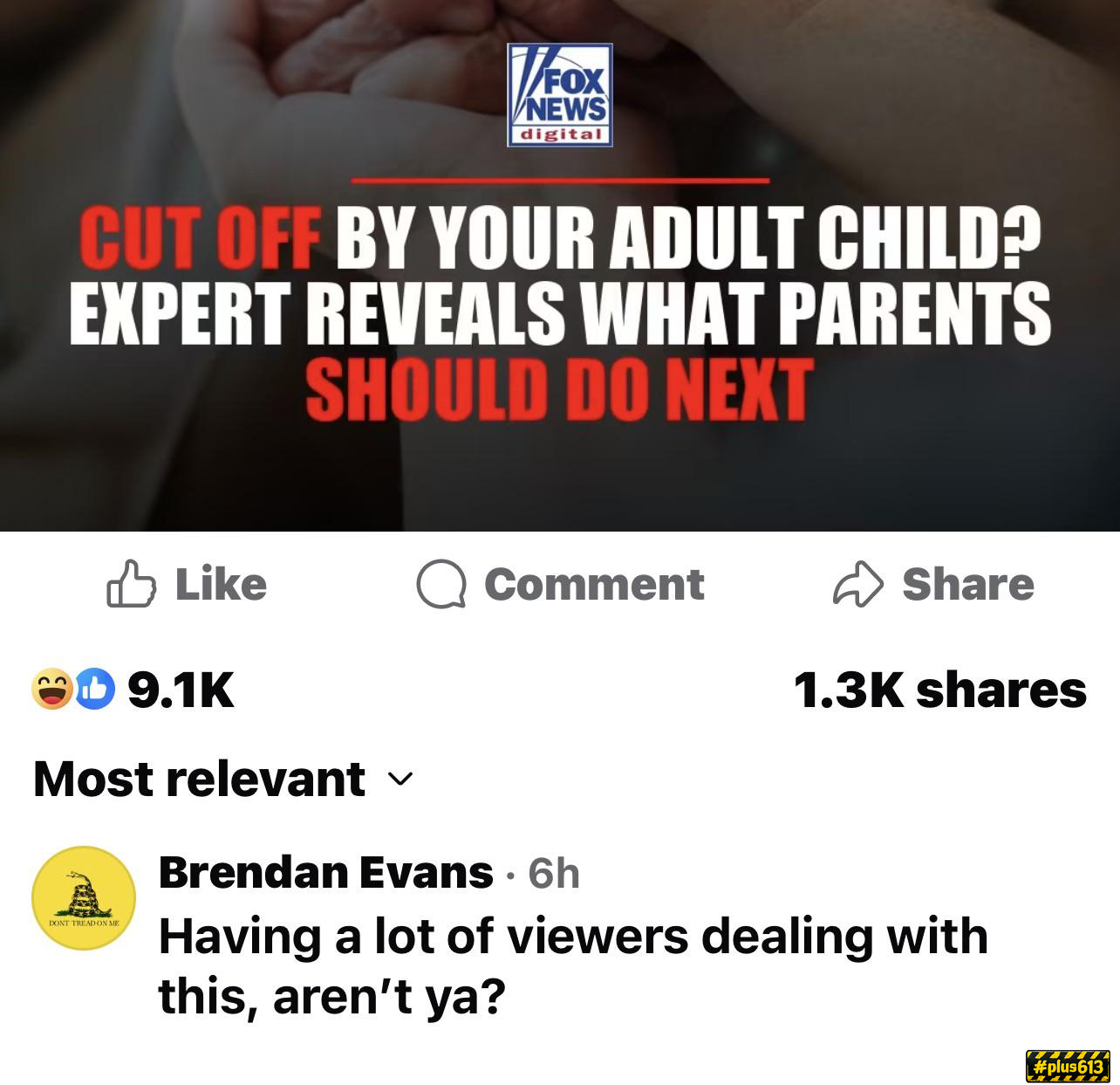 Fox and friends