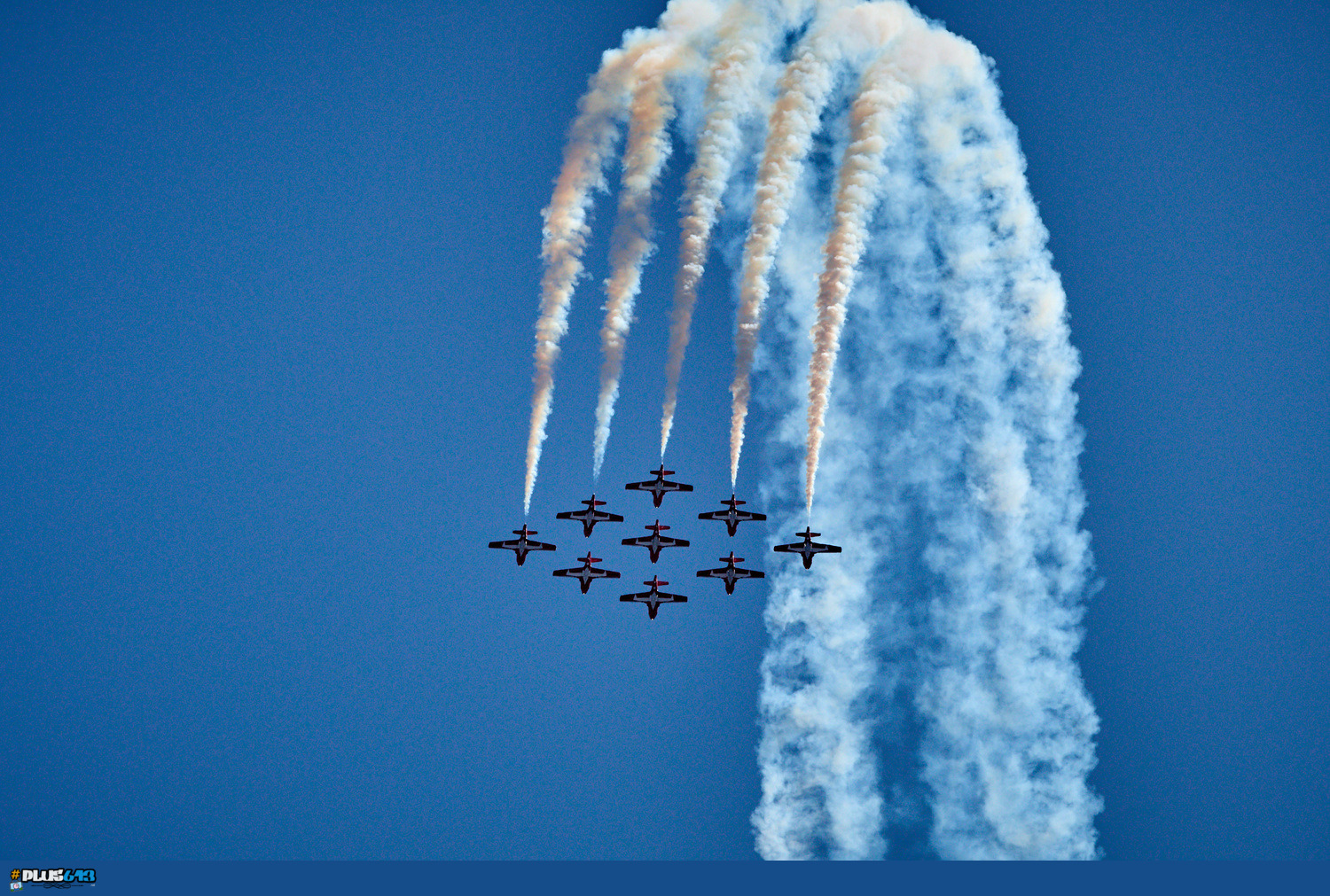 The Claw - Canadian Snowbirds by Frank Ginn