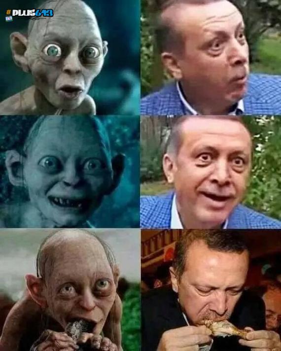 Turkish president Erdogan jailed a man for posting this picture on Facebook.
