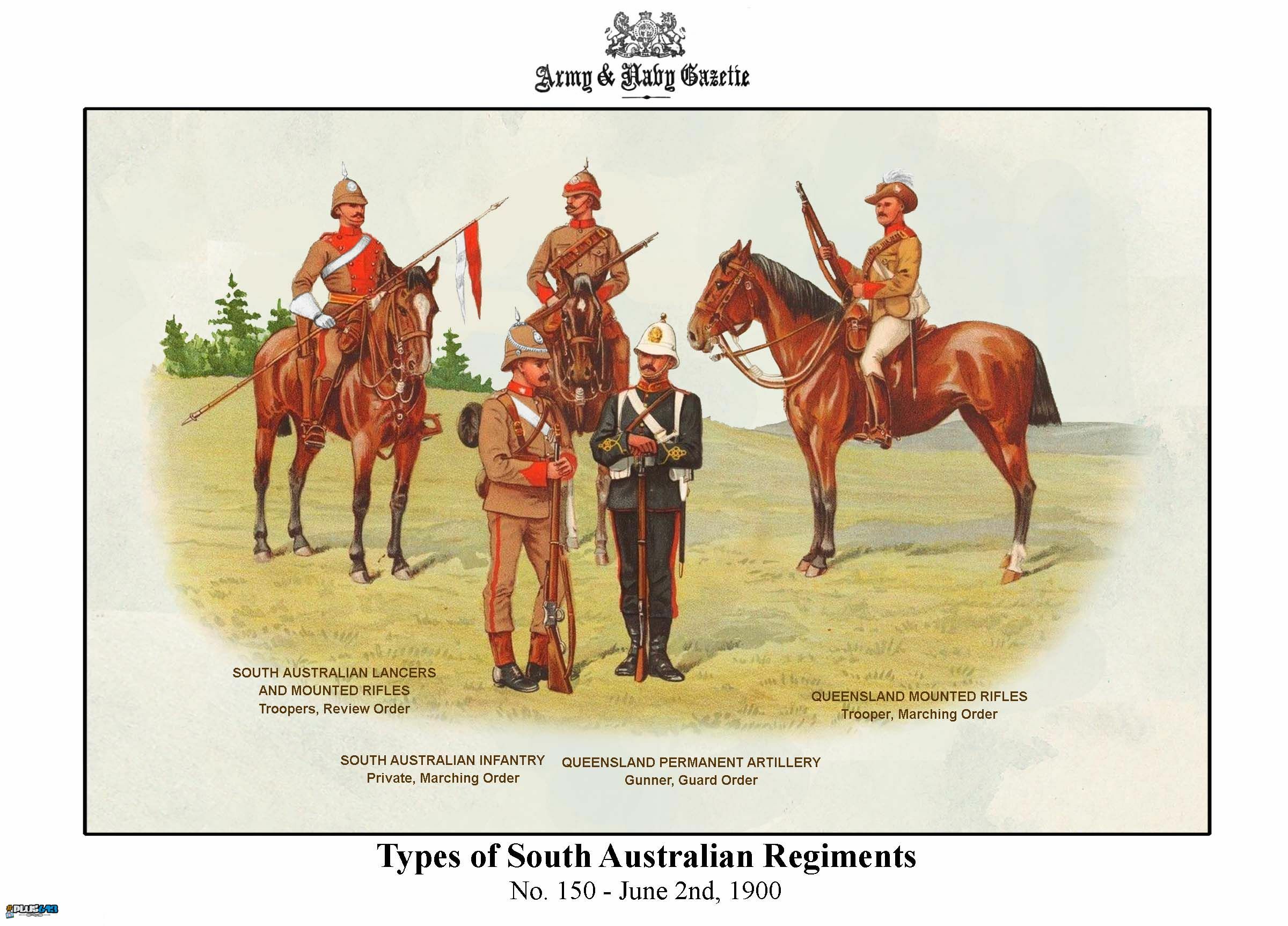 Army & Navy Gazette, Types Of South Australian Regiments