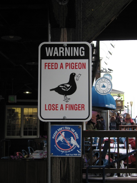 don't feed the birds fingers...