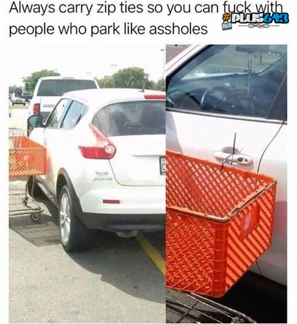 assholes in cars