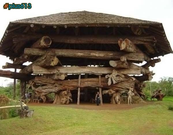 BIG log house