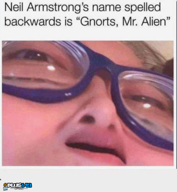 Gnorts!