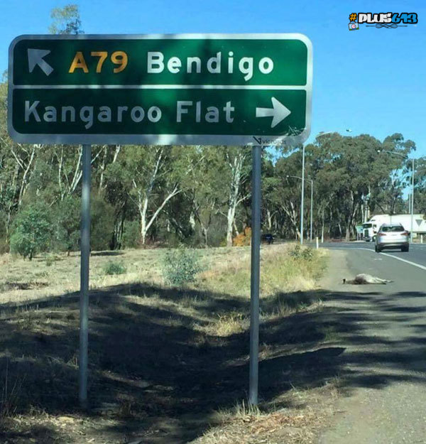 Kangaroo flat