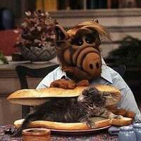 ACTUAL proof illegal aliens eat cats