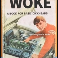 ur all fkn woke