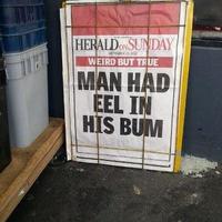 eel in bum