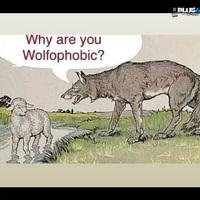 Bigot Sheep
