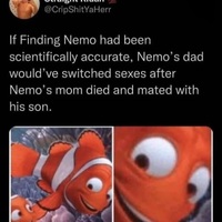 P. Sherman, 42 Wallaby Way, Sydney
