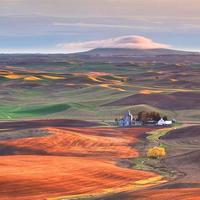 Palouse dreams