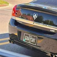 represent