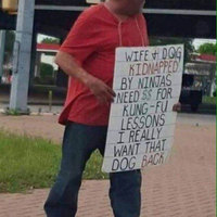 need the dog back