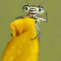 nice to see you