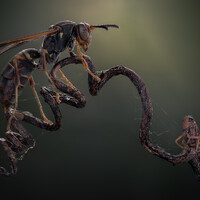 "David and Goliath" by Atul Saluja