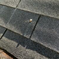 Found while cleaning gutters. Stop firing into the air, rednecks