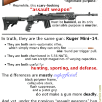 Ruger Mini-14