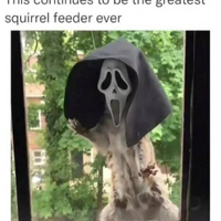 scream