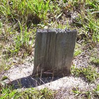 Davis Cemetary 2