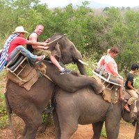 This wasn't in the brochure!