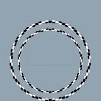 2 perfect circles