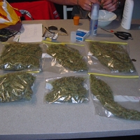 Bag'o'Weed