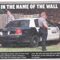 stupid cops 2