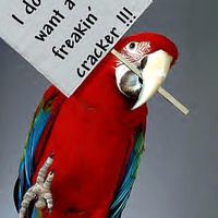 do you want a cracker