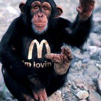McMonkey