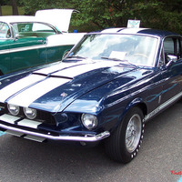 gt 500 428 2