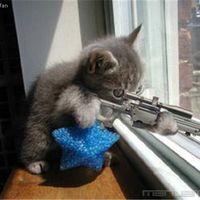 NOW WE KNOW WHO KILLED PRESIDENT KENNEDY!