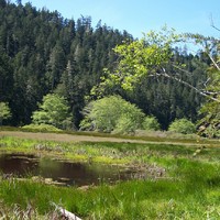 BIG RIVER