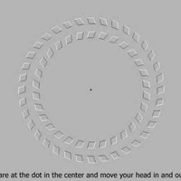 Neck Exercise