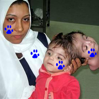 Pray for the innocent victims of a paw