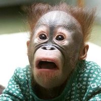 Just heard Michael Jackson bought him
