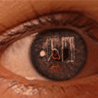 Here's looking at you kid