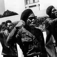 black panthers
