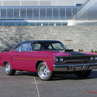 roadrunner