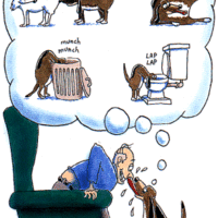 It's a dog's life