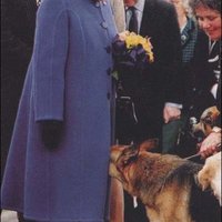 Can't trust anybody these days: Queen may be wired for explosives