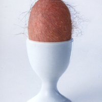An egg
